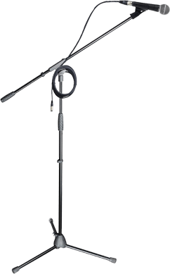 Microphone